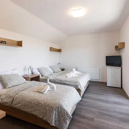 - Archivní Sklep Apartamento *